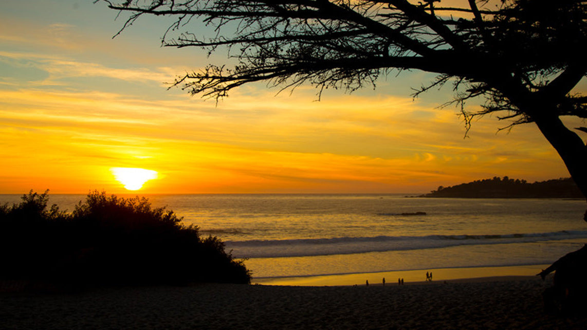 The Most Vibrant Collection Yet: FABA Summer 2025!