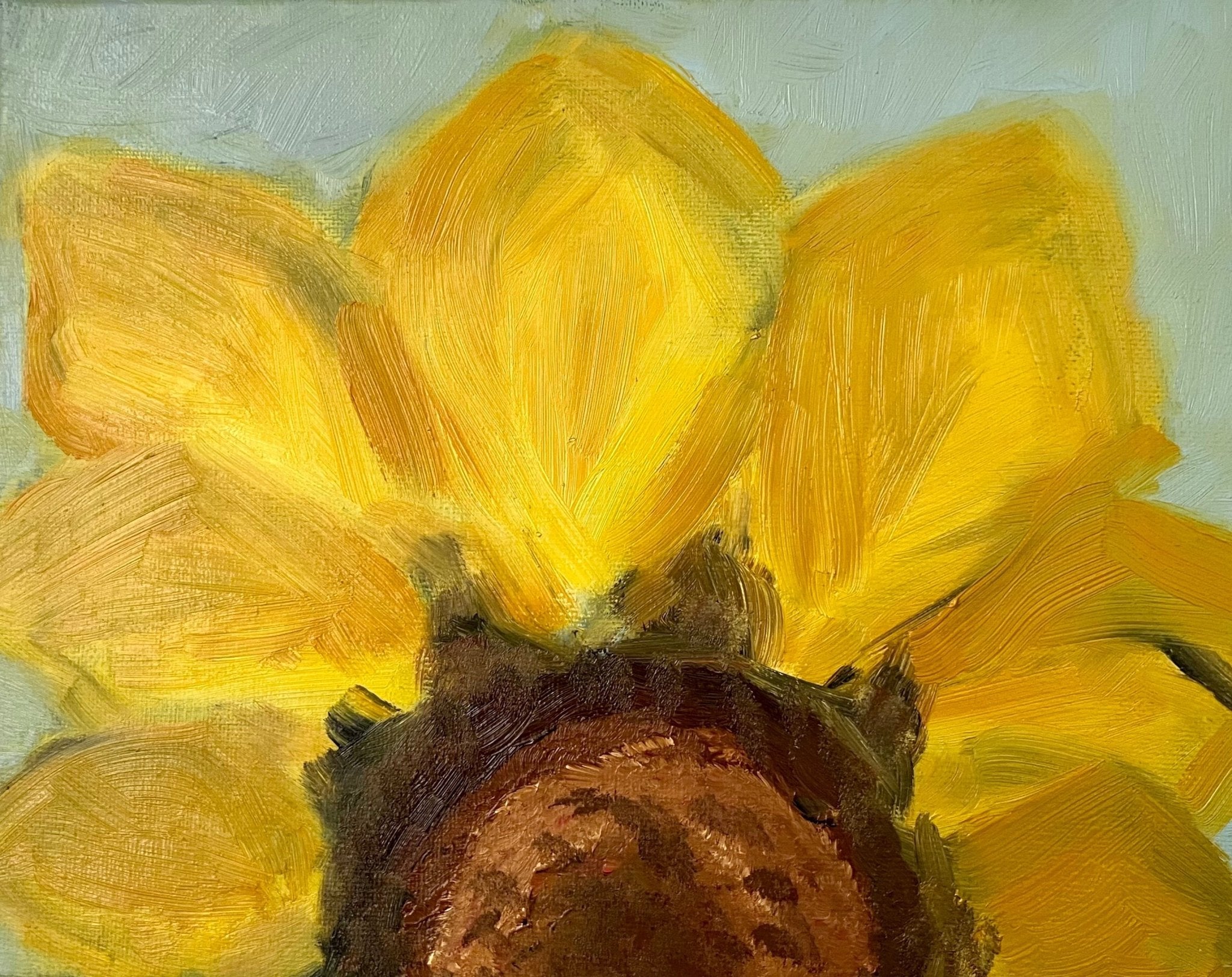 Sunflower Premium Cotton Hoodie Dress - FABA Collection