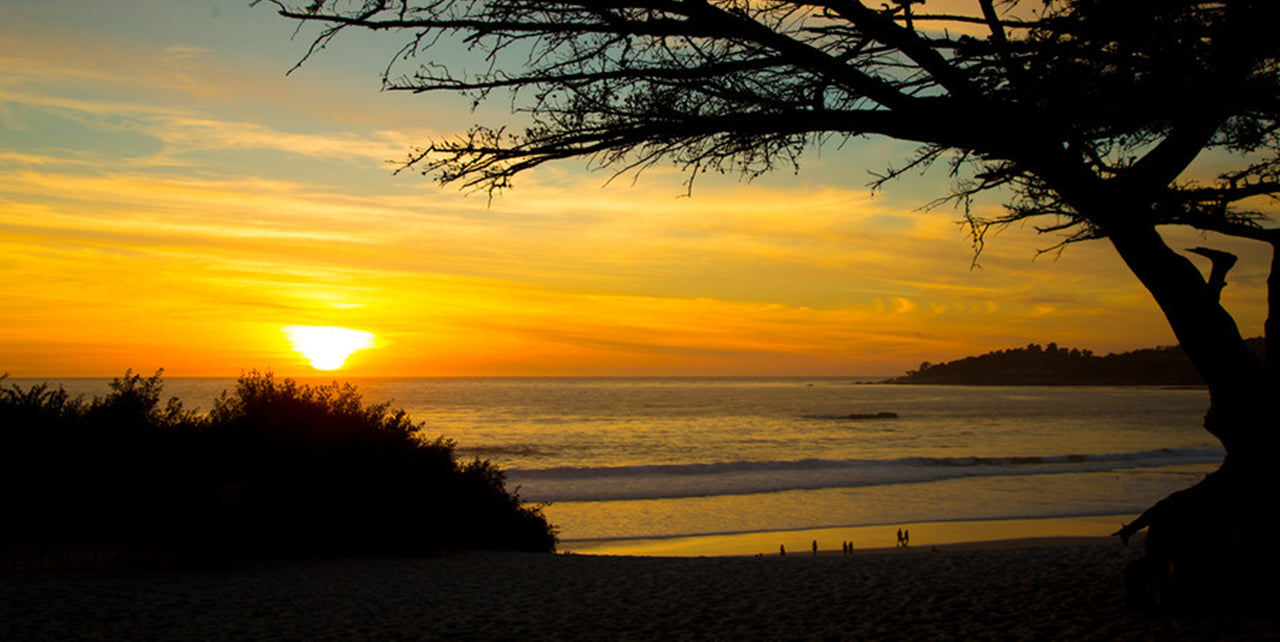 The Most Vibrant Collection Yet: FABA Summer 2025!